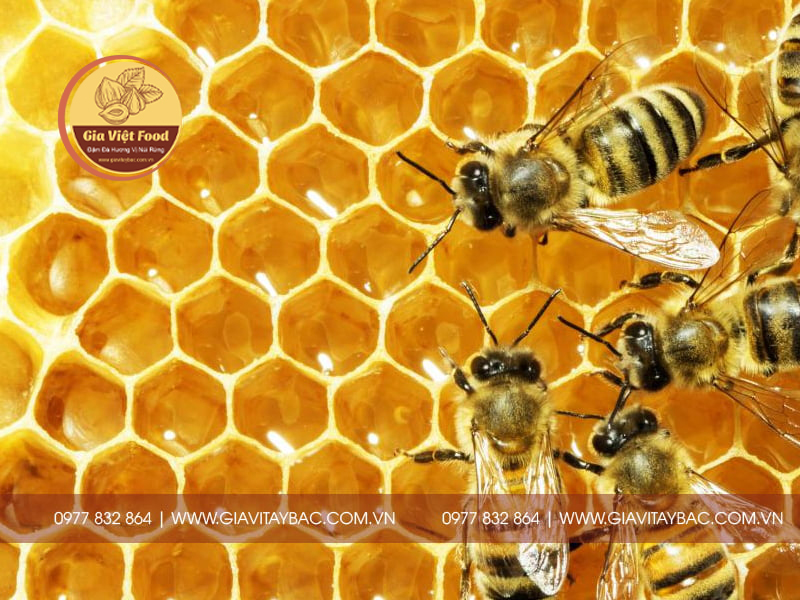 Các dinh dưỡng của sáp ong